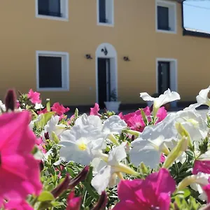Riva Del Gallo Tresigallo